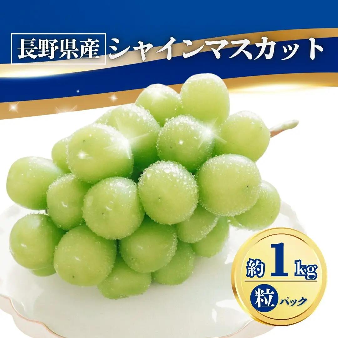 【2026年先行予約】シャインマスカット粒パック 約1kg｜ シャインマスカット