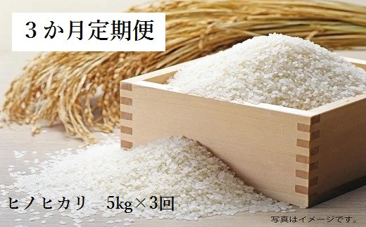 【定期便:3回】 計15kg 大分の山と谷が育てたヒノヒカリ（5kg×3回）