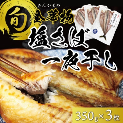 
宮城県石巻産＜金華物 塩さば一夜干し＞350g×3枚セット(CAS冷凍・養殖)【1451998】
