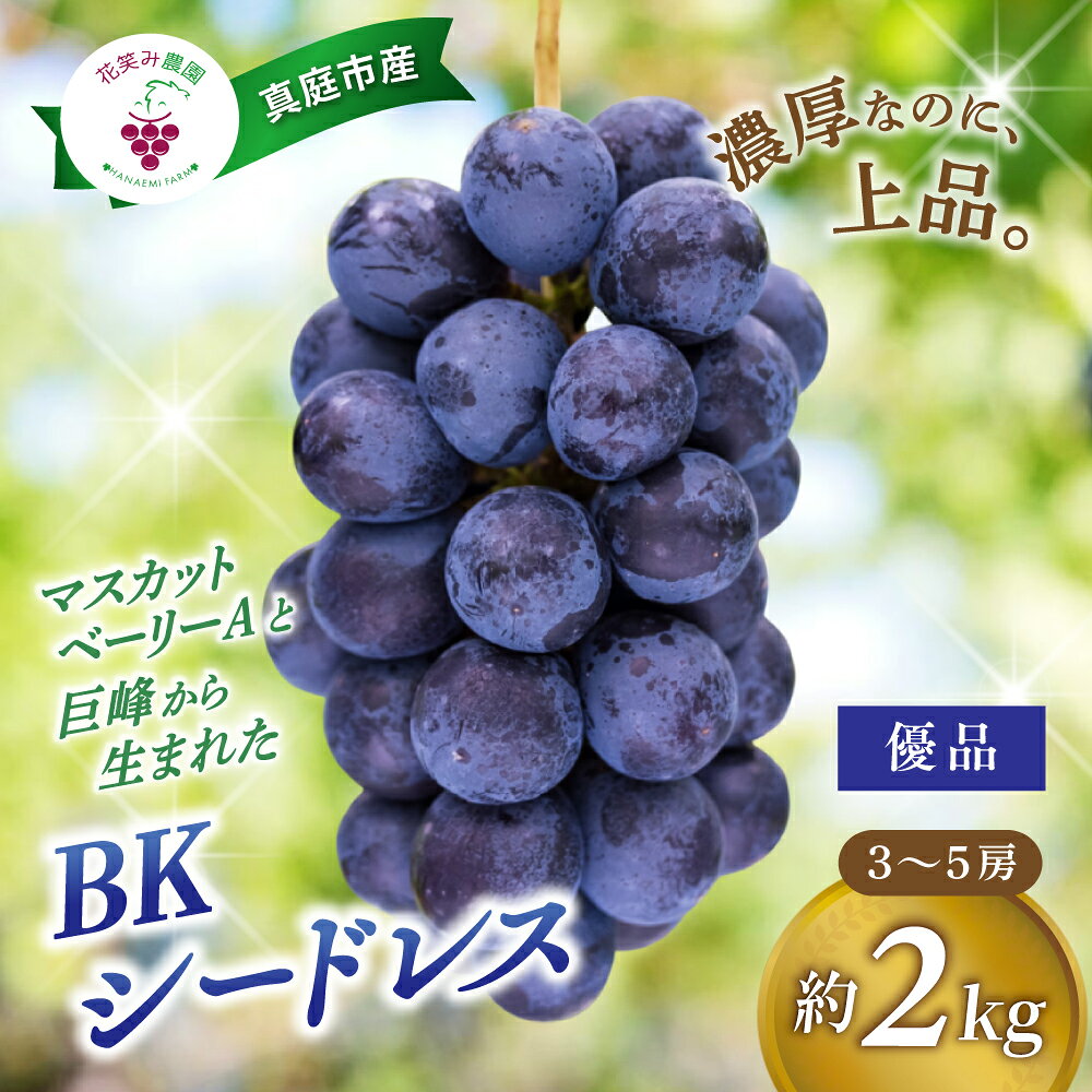 【ふるさと納税】 ぶどう 岡山 BKシードレス 優品 2kg （3～5房） B-2優 贈答用 濃厚 ぶどう 【2026年 先行予約 9月中旬～ 受付順に発送予定】【配送不可：離島】 国産 産地直送 フルーツ 葡萄 ぶどう 果物 種なし 人気 くだもの 期間限定 ブドウ 数量限定 【1394368】