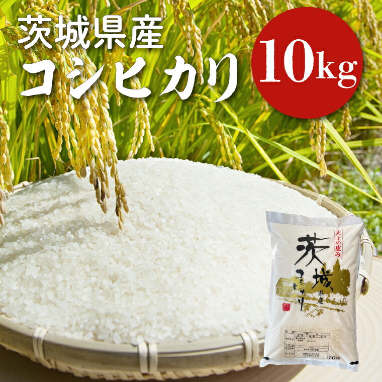 【ふるさと納税】【令和6年産】茨城県産コシヒカリ 10kg 【お米 ごはん こしひかり 老舗 米屋 おにぎり ごはん 茨城県 水戸市 10キロ】(HQ-82)
