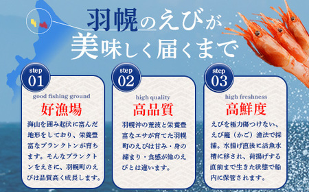 【おまとめ配送】超速リキッド凍結でドリップゼロ！北海道羽幌産生鮮甘えび200g×10パック【03109】