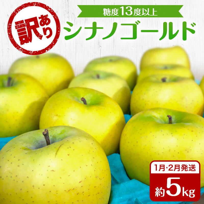 【ふるさと納税】りんご 【1月・2月発送】 糖度13度以上 訳あり品 家庭用 シナノゴールド 約 5kg 【 青森りんご 果物 フルーツ デザート 食後 青森県産 産地直送 贈り物 】　お届け：2026年1月5日頃～2026年2月28日