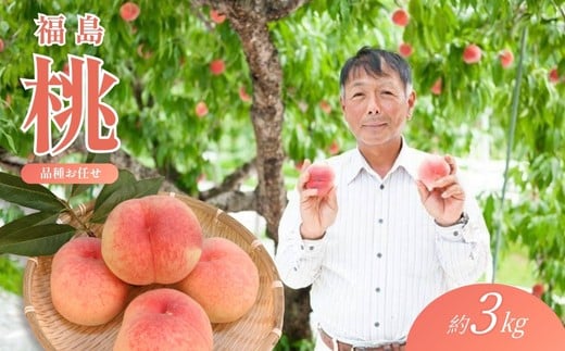 
            No.2406福島 桃　約3kg【2026年発送 先行予約】
          