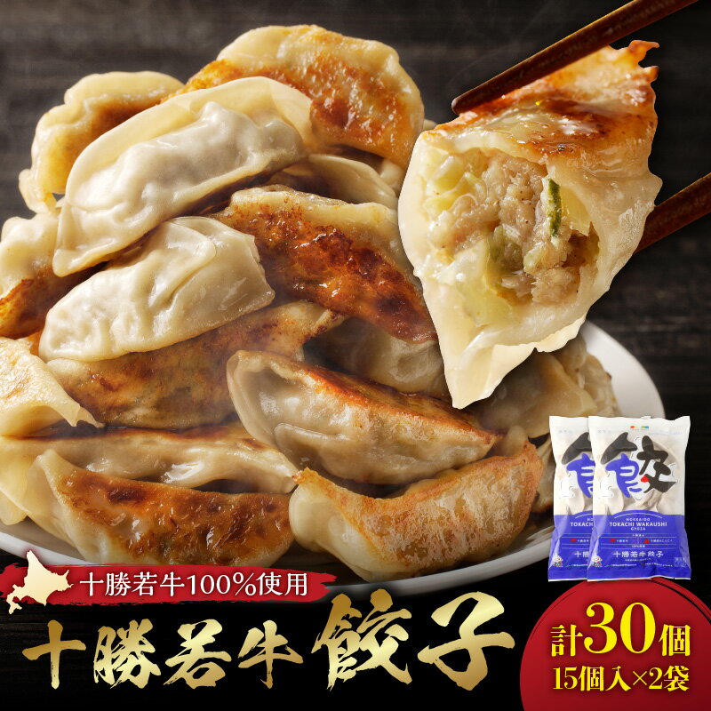 【ふるさと納税】十勝若牛100％使用！ 十勝若牛 餃子 330g(15個入り) × 2 牛肉 ギョーザ 惣菜 おかず にんにく入り 加工品 おつまみ 中華 焼くだけ 簡単 冷凍 ギフト お歳暮 お中元 夏 夏ギフト お中元ギフト のし 熨斗 北海道 清水町 送料無料