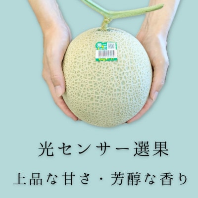 糖度13度以上!茨城県産 アールスメロン 2玉入り【先行受付　2026年9月下旬以降順次発送】【配送不可地域：離島・北海道・沖縄県・中国・四国・九州】