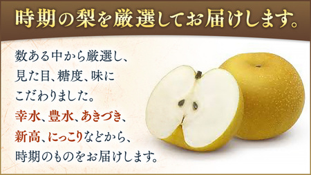 梨10～14個【令和6年9月より発送開始】田舎の頑固おやじが厳選！