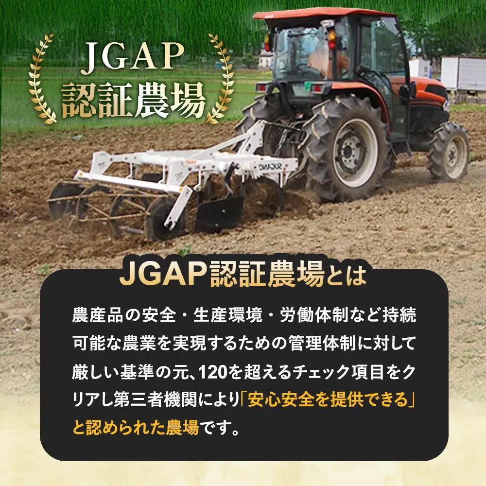 金のいぶりがっこ スライス140g×5袋