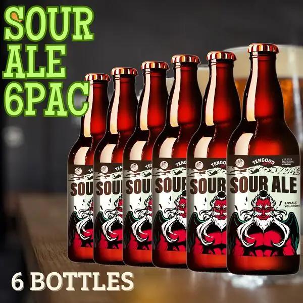 ビール SOUR ALE 6本 テングビール