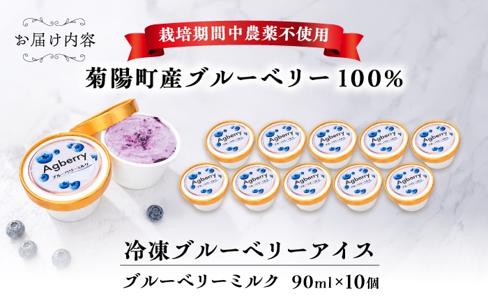 アイス あいす 氷菓子 アイス フルーツ アイス ブルーベリー アイス ぶるーべりー アイス ミルク アイス デザート
