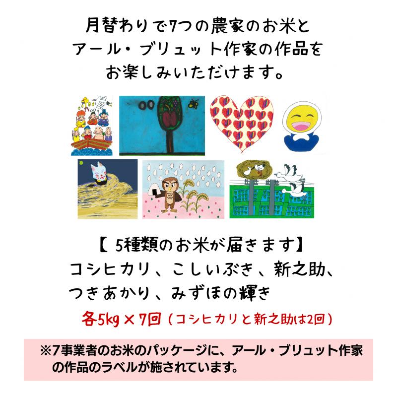 令和7年産 新潟県産 米 5kg 食べ比べ コシヒカリ こしいぶき 新之助 つきあかり みずほの輝き 先行予約 定期便 新米 アール・ブリュット アート 上越市 上越産 おすすめ 限定