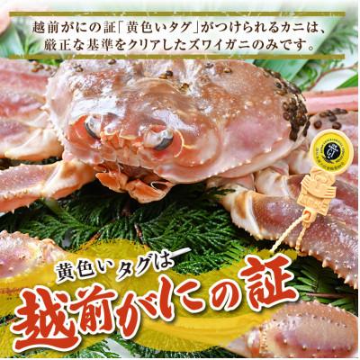 ふるさと納税 あわら市 【先行予約】【1月発送限定】茹で越前がに 1杯 1.1kg〜1.3kg |  | 03