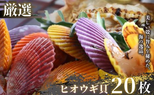 イロトリドリヒオウギ貝20枚セット　アウトドア キャンプ 海鮮BBQ 魚貝 生 貝殻付 活 貝柱 酒蒸し バーベキュー 海の幸 ホタテ 食卓に彩りを添える、まるで海の宝石