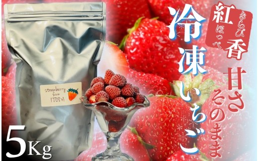 【2027年発送】 冷凍いちご 5kg 紅ほっぺ きらぴ香 こだわり いちご フローズン 冷凍 イチゴ strawberry 苺 新鮮 朝摘み 朝採り 産直 産地直送 安心安全 ichigo itigo いちご 苺 果物 フルーツ くだもの ギフト プレゼント 贈物 ジャム ふるさと納税 ふるさと納税苺 いちご 静岡県 南伊豆町 STRAWBERRY FARM ITODA　<AO-11>