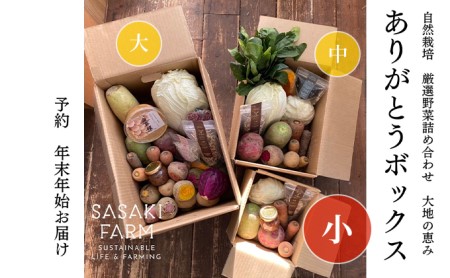 野菜詰合せ 北海道 自然栽培 佐々木ファーム ありがとうBOX小 野菜詰合せ【先行予約】