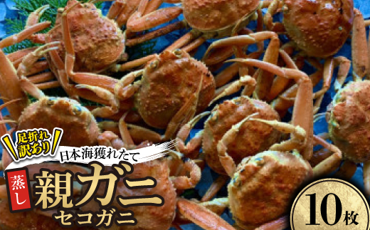 【先行予約】【蒸し】訳あり足折れ日本海産親ガニ(セコガニ)　10枚　※11月中旬から順次発送【配送不可地域：離島・北海道・沖縄県】