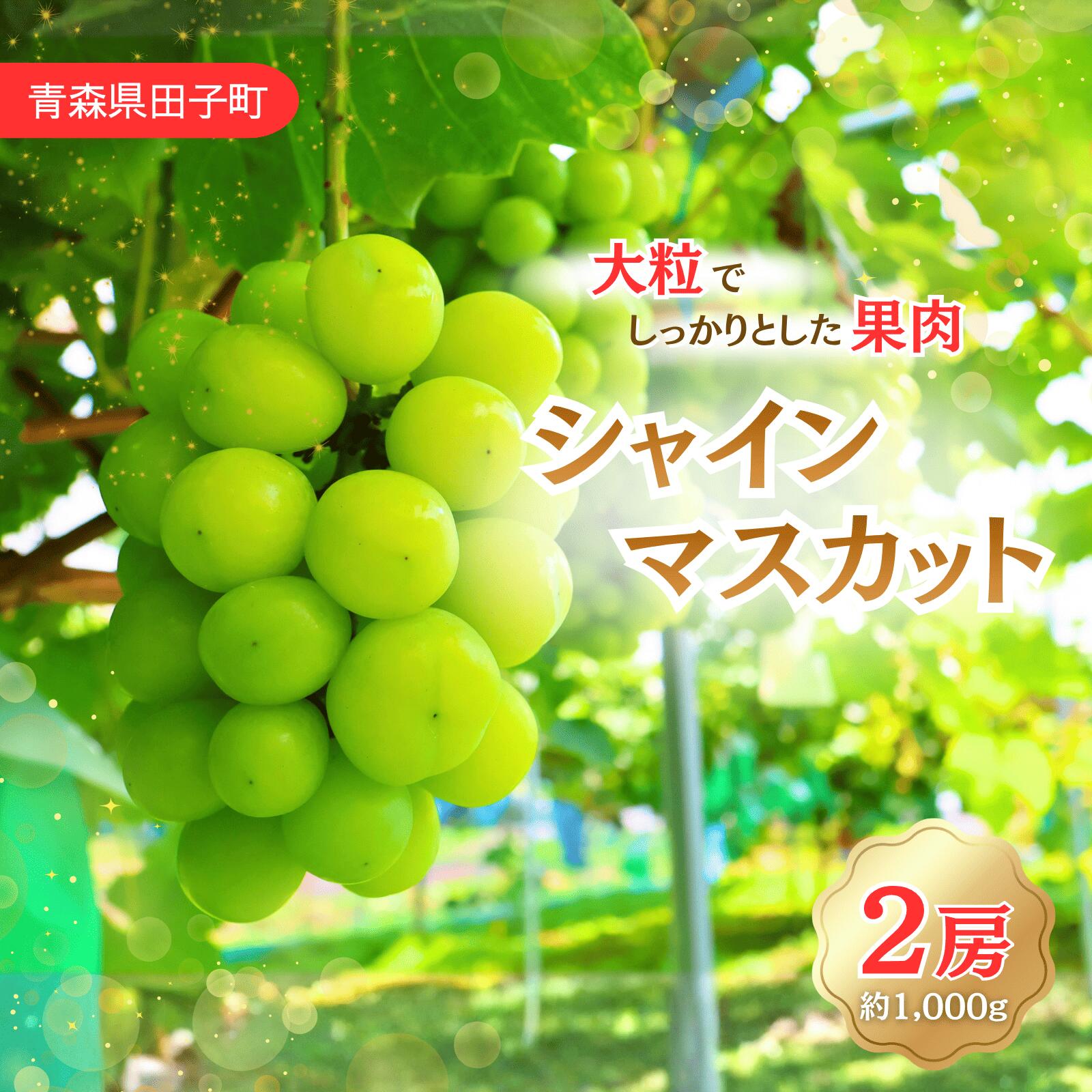【ふるさと納税】青森県田子町産　ぶどう「シャインマスカット」 1kg　出荷開始：10月15日〜10月29日まで