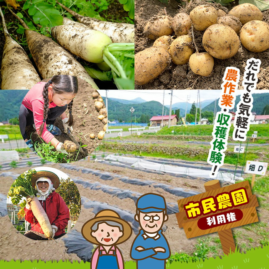 【ふるさと納税】木島平村 市民農園・利用権 | 野菜作り体験 野菜作り 農作業体験 農作業 畑仕事体験 畑仕事 農園 畑 アクティビティ 木島平村 長野県 信州 北信州