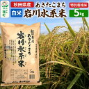 【ふるさと納税】【白米】あきたこまち 岩川水系米 5kg(5kg×1袋) 令和6年産