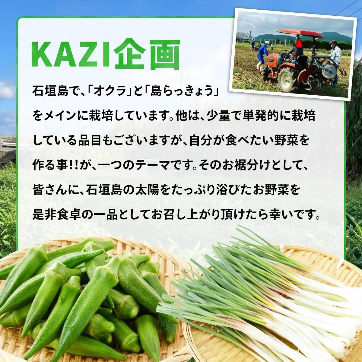 オクラ 食べ比べセット10本入り×10袋