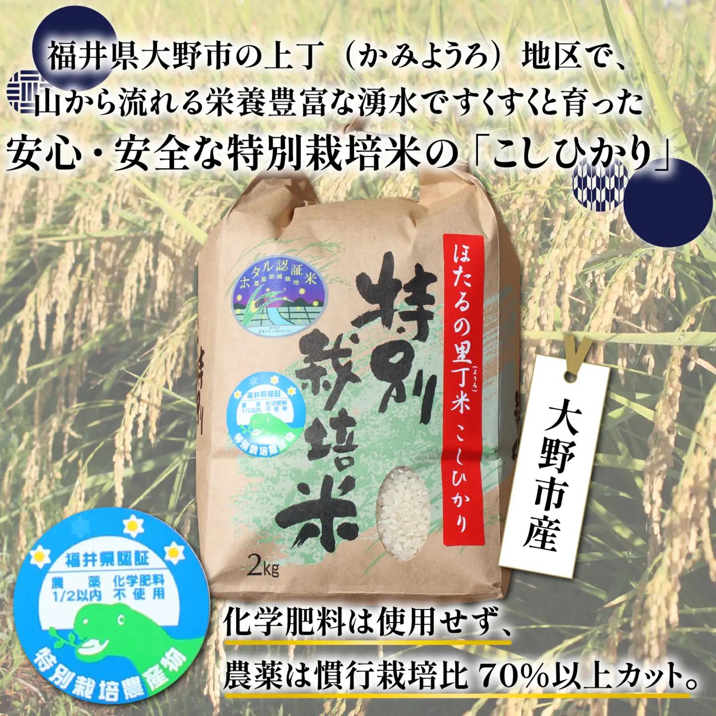 【先行予約】【令和8年産 新米】【5ヶ月定期便】ほたるの里 特別栽培こしひかり 6kg [J-002003] 精米 ベストファーマー
