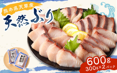 熊本県 天草産 天然ぶり 刺身 (ブロック) 約300g×2パック 合計約600g ぶり ブリ 鰤 魚 冷凍