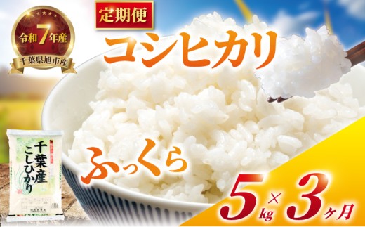 【 定期便3回 】 令和7年産 コシヒカリ 定期便 15kg 全3回 5kg×3回 3ヶ月 こしひかり 精米 コメ お米 こめ ライス 白米 ご飯 ごはん R7米 R7 令和7年 7年産 令和7年産米 kome 2025 国産 千葉県産 備蓄 家庭用 産地直送 千葉県 旭市 有限会社髙野商店 tst005