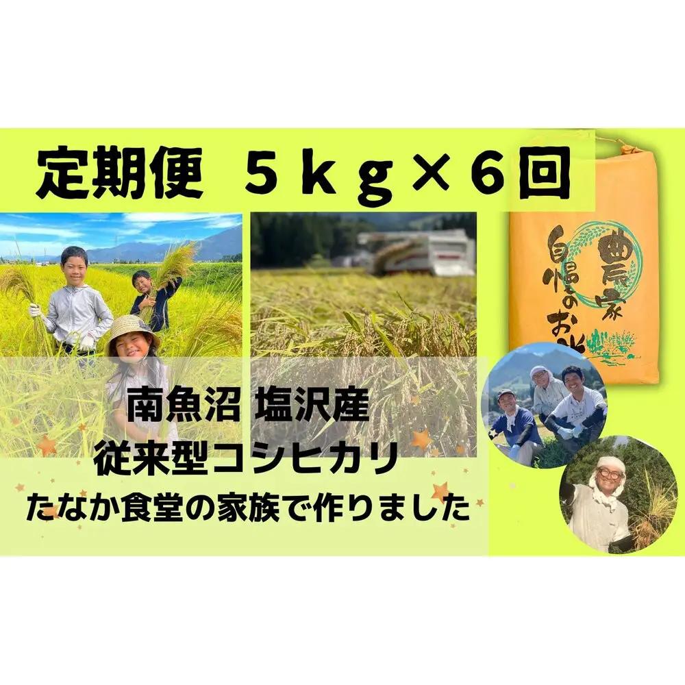 【令和8年　新米】南魚沼塩沢産　従来型コシヒカリ　白米５ｋｇ×６回（定期便）｜コシヒカリ【2026年10月下旬より順次発送予定】