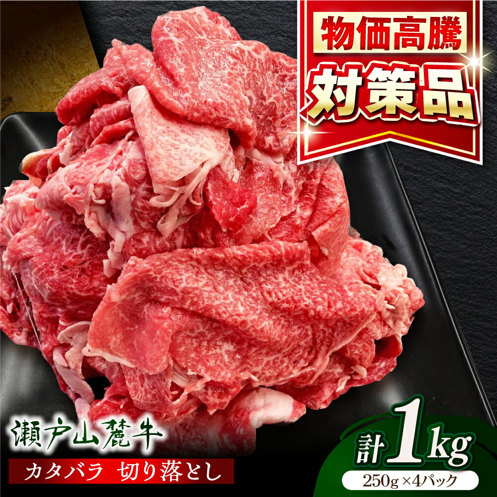 【ふるさと納税】【選べる発送月】瀬戸山麓牛カタバラ切落し1kg（250g×4P）/ 牛肉 国産 冷凍 小分け / 瀬戸市 / 関屋精肉店[BBBQ025]