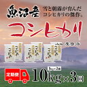 【ふるさと納税】定期便 全3回 魚沼産コシヒカリ 5kg×2袋　定期便・ お米 米 コメ コシヒカリ 魚沼産 　お届け：寄附確認月の翌月より発送いたします。