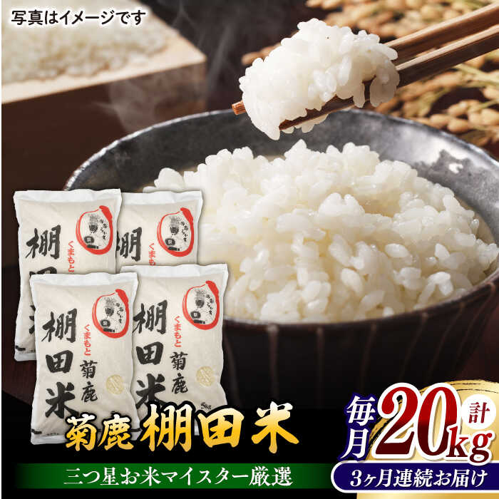 【ふるさと納税】【3回定期便】 菊鹿 棚田米 20kg 【ミヤタ 株式会社 】 米 こめ お米 熊本県産 山鹿市 くまさんの輝き [ZAH012]