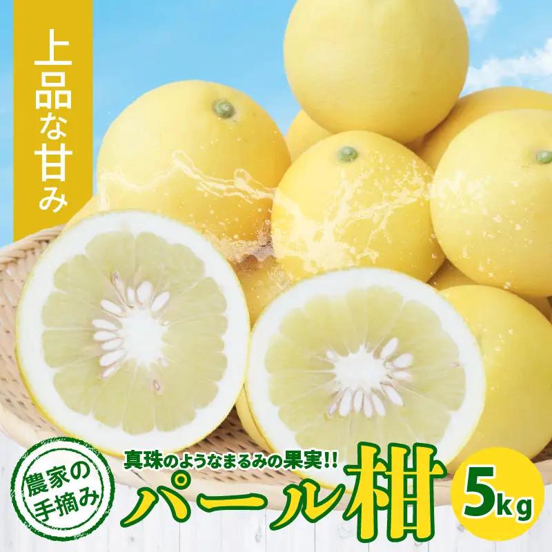 S040-031_農家の手摘み　パール柑　5kg
