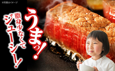 【全2回定期便】牛肉 広島牛サーロインステーキ 400g [APAZ081] 牛肉 ステーキ