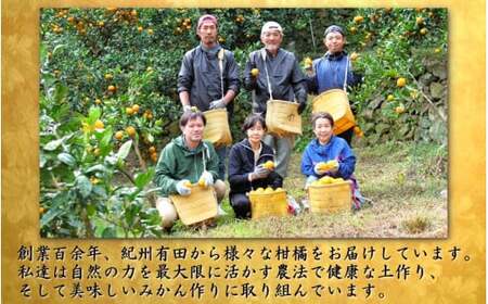 鹿蔵 プレミアム 有田みかん ( 完熟 ) 2.5kg+250g（傷み補償分） 光センサー 選果　※北海道・沖縄・離島への配送不可 / 温州 みかん 厳選 柑橘 果物 フルーツ 和歌山 【ikd004