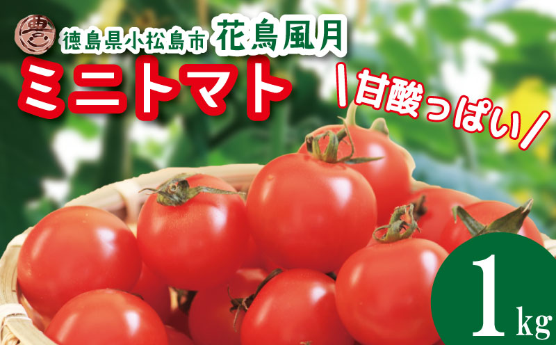 【2026年3月発送】 ミニトマト 1kg 花鳥風月 先行予約 水耕栽培 爽やか 甘い 野菜 やさい 国産 産地直送 数量限定 旬 フレッシュトマト 生野菜 新鮮 ソース 調味料 ケチャップ サラダ 美容 新鮮 健康 お取り寄せ グルメ おすすめ 人気 1万円以下 10000円以下 徳島県 小松島市