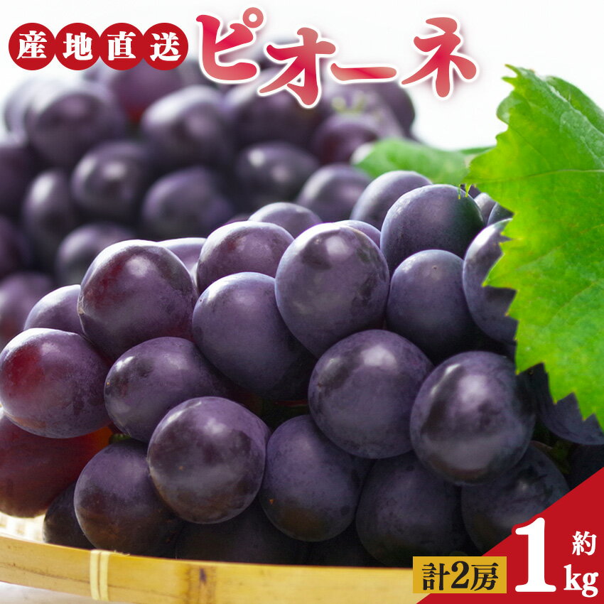 【ふるさと納税】ピオーネ 2房 約1kg | 果物 くだもの フルーツ ぶどう 葡萄 ブドウ ピオーネ 奈良県 平群町