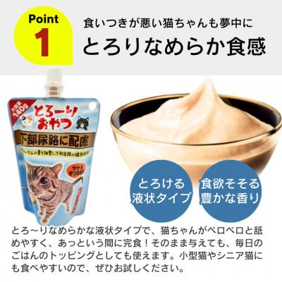 ふるさと納税 久留米市 とろーりおやつ 猫用(下部尿路に配慮 ツナ&かつお節味)140g×48個(久留米市) |  | 01