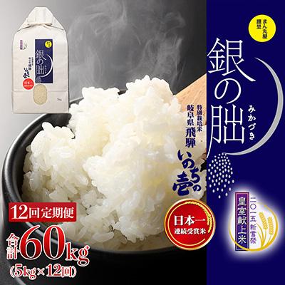 ふるさと納税 下呂市 (2026年11月から毎月発送)【定期便】5kg×12回【2026年産】銀の朏【13-24】