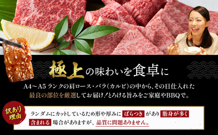 訳あり！艶さし！【A4～A5】佐賀牛焼肉切り落とし(肩ロース・バラ）　1kg（500g×2P）