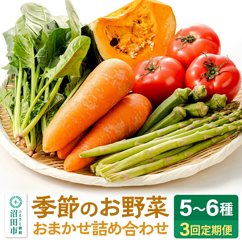 【ふるさと納税】《5月上旬〜11月下旬発送》季節のお野菜 おまかせセット 季節ごとの3回お届け 定期便（1回あたり5〜6種類）詰め合わせ