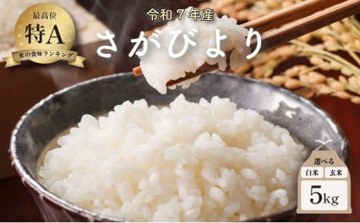 令和7年産 さがびより 5kg ／米 お米 返礼品 飯 ごはん 弁当 銘柄米 白米 県産米 佐賀県産 国産米 精米 ブランド米 おにぎり 国産 食品 人気 おすすめ ふるさと納税米 精白米 主食 ご飯