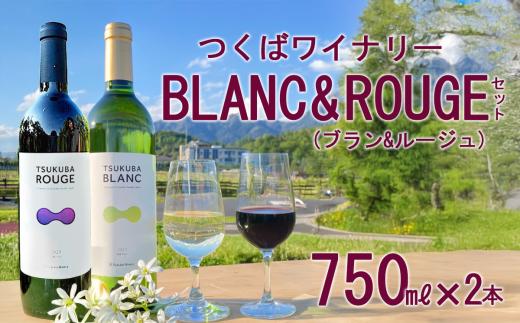 つくばワイナリー TSUKUBA BLANC & ROUGE セット │ お酒 葡萄 ぶどう ブドウ 茨城県産 つくば市産 ワイナリー ワイン