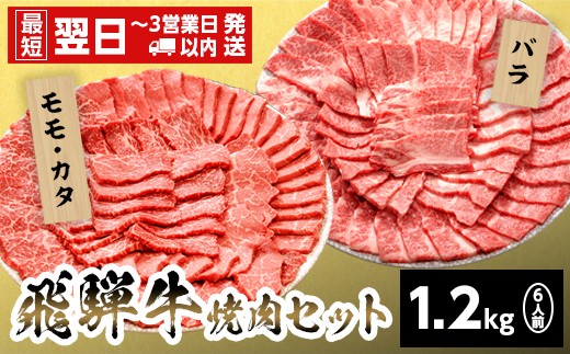 【最短発送】飛騨牛 贅沢！焼肉セット 6人前 1.2kg 牛肉 和牛 肉 焼肉 BBQ キャンプ バーベキュー 霜降り カルビ 赤身 モモ カタ 東白川村 岐阜 岐阜県産 養老ミート
