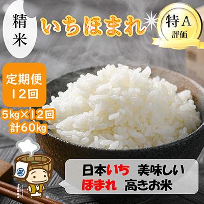ふるさと納税 あわら市 【毎月定期便】 いちほまれ 精米 5kg全12回