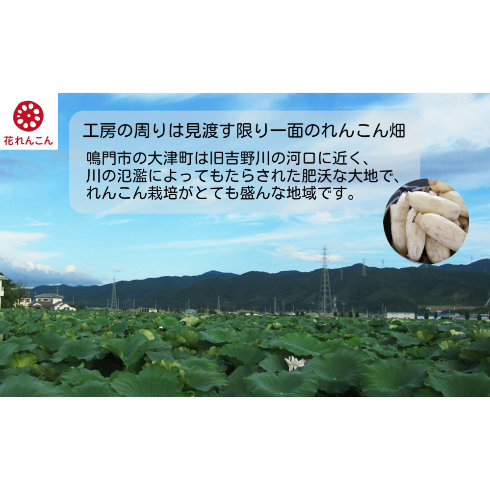 花れんこんの『れんこんポタージュ』　710g（5人前）×2袋　280g（2人前）×3袋_イメージ3