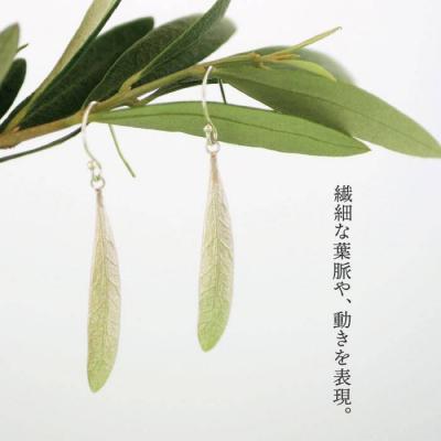 ふるさと納税 糸島市 植物モチーフオリーブ葉ピアス (中)【Chloroplast/クロロプラスト】[ALF004] |  | 01