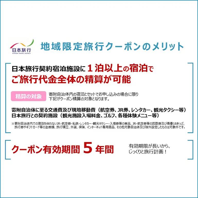 日本旅行地域限定旅行 クーポン300,000円分 UA01-005