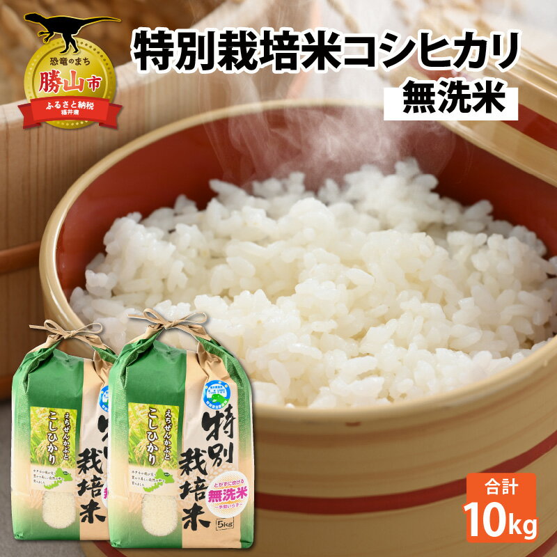 【ふるさと納税】令和7年産 特別栽培米コシヒカリ 5kg ×2袋（無洗米） 【2025年9月20日より順次発送】 | 新米 米 特別栽培米 コシヒカリ 無洗米 5kg 2袋 送料無料