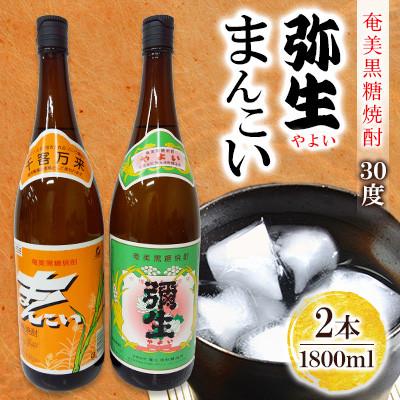 ふるさと納税 奄美市 奄美でしか造れない黒糖焼酎 まんこい30度1800ml&amp;弥生30度1800ml　2本入セット