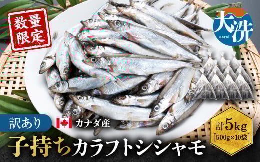 
【数量限定】 子持ち カラフトシシャモ 5kg （500ｇ×10袋） 訳あり シシャモ カラフトししゃも 大洗 規格外 訳アリ わけあり 傷
